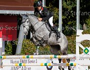 Milella Aham Shere GioCav2013 S5 1363 : Aham Shere, Campionati Italiani Giovani Cavalli, Cattolica, Milella Fabrizio, ph Stefano Secchi ©